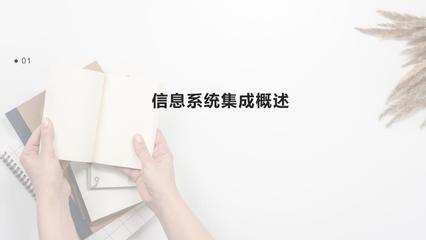 信息系统集成与创新技术应用工作总结